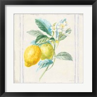 Framed 'Floursack Lemons II Sq Navy' border=