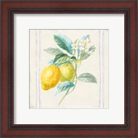 Framed 'Floursack Lemons II Sq Navy' border=