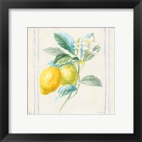 Framed 'Floursack Lemons II Sq Navy' border=