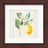 Framed 'Floursack Lemons I Sq Navy' border=