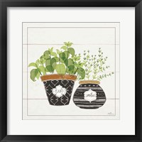 Fine Herbs V Smiles Framed Print