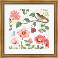 Framed 'Studio Botanicals III' border=