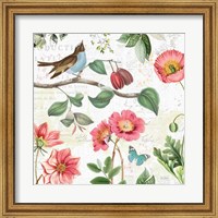 Framed 'Studio Botanicals II' border=