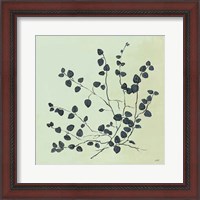 Framed 'Botanical Study VII Sage' border=