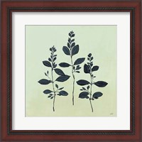 Framed 'Botanical Study IV Sage' border=