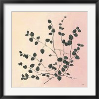 Botanical Study VII Blush Framed Print