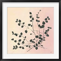 Framed 'Botanical Study VII Blush' border=