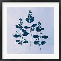 Framed 'Botanical Study IV Blue' border=