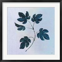 Botanical Study III Blue Framed Print