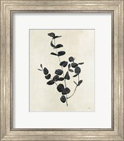 Framed 'Botanical Study II' border=