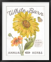 Framed White Barn Flowers I