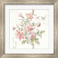 Framed 'Cottage Roses III' border=