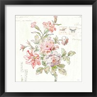 Framed 'Cottage Roses III' border=