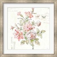 Framed Cottage Roses III