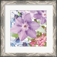 Framed 'Clematis I' border=