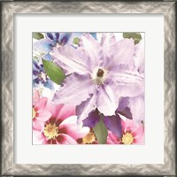 Framed 'Clematis II' border=