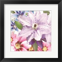 Framed 'Clematis II' border=