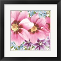 Framed 'Clematis IV' border=