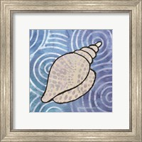 Framed 'Whimsy Coastal Conch Shell' border=