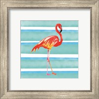 Framed 'Tropical Life Flamingo II' border=