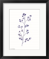 Blue Plant I Framed Print