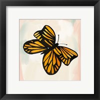 Framed 'Butterfly II' border=