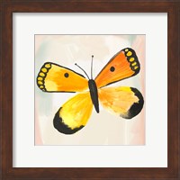 Framed 'Butterfly IV' border=