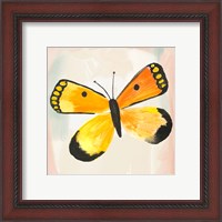 Framed 'Butterfly IV' border=