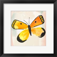 Framed 'Butterfly IV' border=