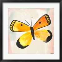 Butterfly IV Framed Print