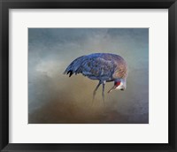 Framed Sandhill Crane