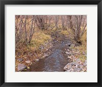 Framed Ochoco Creek
