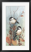 Framed New Chickadee II