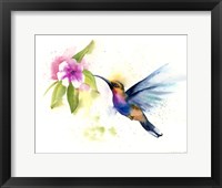 Framed Hummingbird