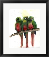 Framed Green Parrots