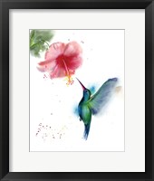 Framed Hummingbird II