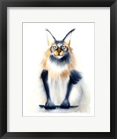 Framed Wild Cat