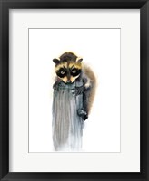 Framed Baby Raccoon