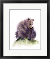 Framed Bear