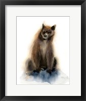 Framed Bear II