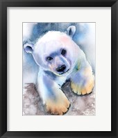 Framed Polar Bear