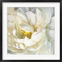 Summer Joy II Framed Print