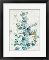 Framed Eucalyptus IV Vintage