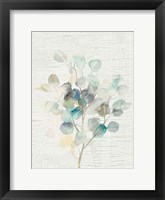 Framed Eucalyptus III Vintage