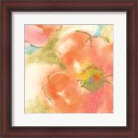 Framed 'Coral Poppy I' border=