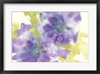 Framed Violet and Gray I