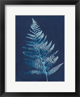 Framed Nature By The Lake - Ferns VI