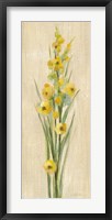 Farm Flower III Framed Print