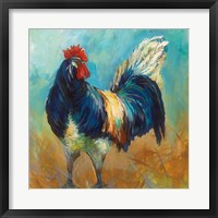 Framed Cocky