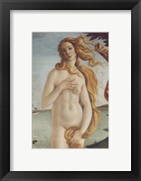 Framed Birth of Venus, Venus